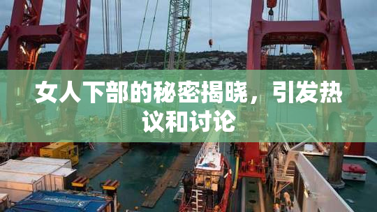 女人下部的秘密揭晓，引发热议和讨论