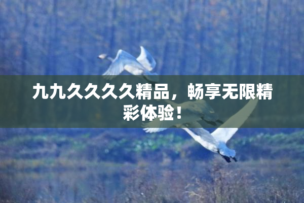 九九久久久久精品，畅享无限精彩体验！