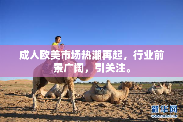 成人欧美市场热潮再起，行业前景广阔，引关注。