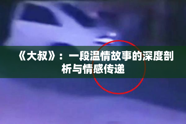 《大叔》：一段温情故事的深度剖析与情感传递