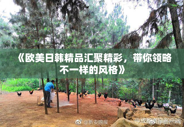 《欧美日韩精品汇聚精彩，带你领略不一样的风格》