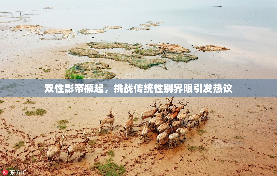 双性影帝撅起，挑战传统性别界限引发热议
