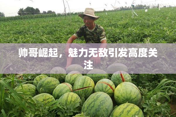 帅哥崛起，魅力无敌引发高度关注