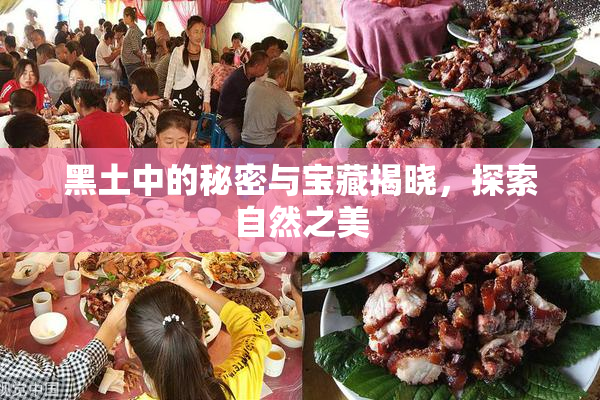 黑土中的秘密与宝藏揭晓，探索自然之美