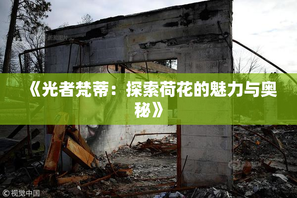 《光者梵蒂：探索荷花的魅力与奥秘》