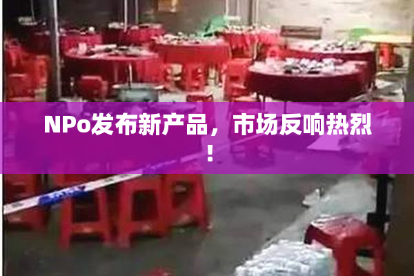 ΝPo发布新产品，市场反响热烈！