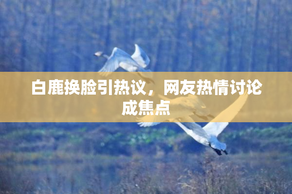 白鹿换脸引热议，网友热情讨论成焦点