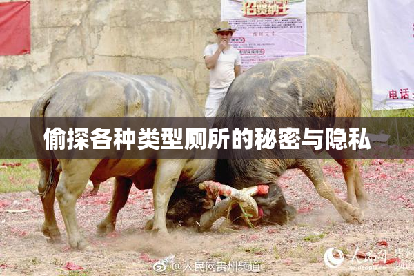 偷探各种类型厕所的秘密与隐私