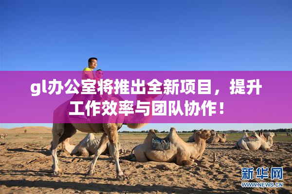 gl办公室将推出全新项目，提升工作效率与团队协作！