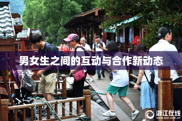 男女生之间的互动与合作新动态