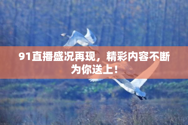 91直播盛况再现，精彩内容不断为你送上！