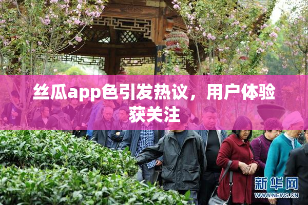 丝瓜app色引发热议，用户体验获关注