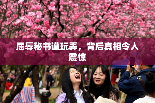 屈辱秘书遭玩弄，背后真相令人震惊