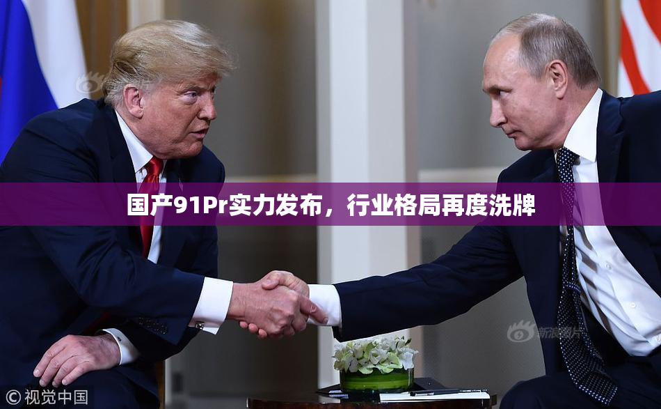 国产91Pr实力发布，行业格局再度洗牌
