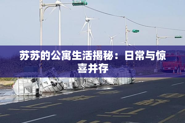 苏苏的公寓生活揭秘：日常与惊喜并存