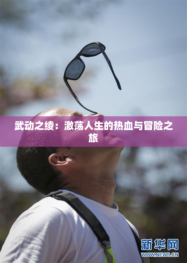 武动之绫：激荡人生的热血与冒险之旅