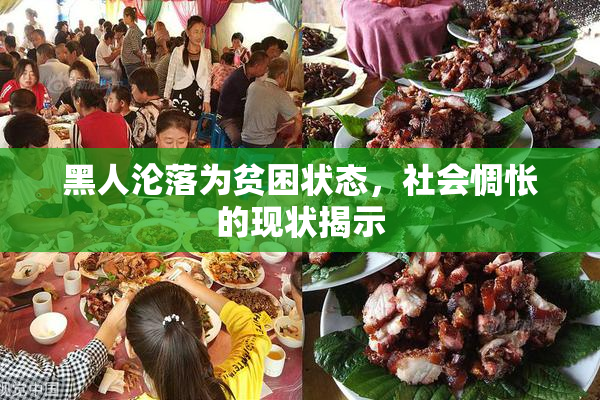 黑人沦落为贫困状态，社会惆怅的现状揭示