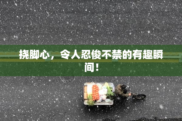 挠脚心，令人忍俊不禁的有趣瞬间！
