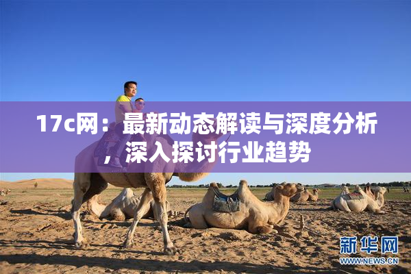 17c网：最新动态解读与深度分析，深入探讨行业趋势