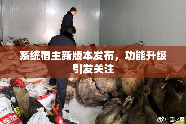 系统宿主新版本发布，功能升级引发关注