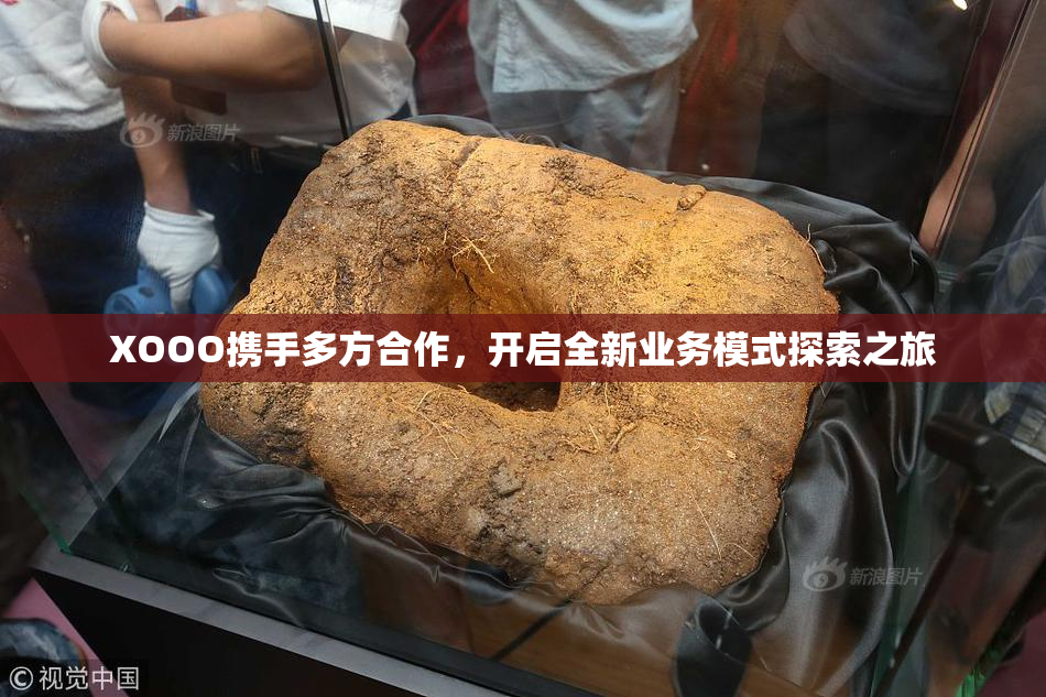 XOOO携手多方合作，开启全新业务模式探索之旅