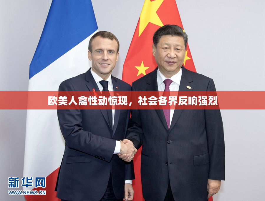 欧美人禽性动惊现，社会各界反响强烈