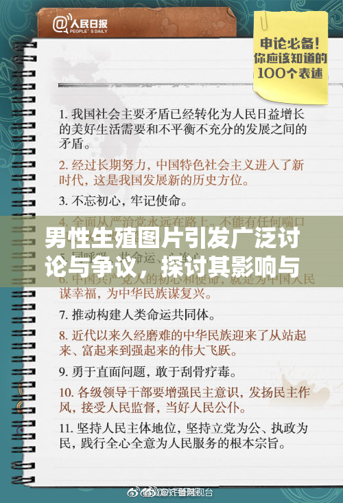 男性生殖图片引发广泛讨论与争议，探讨其影响与意义