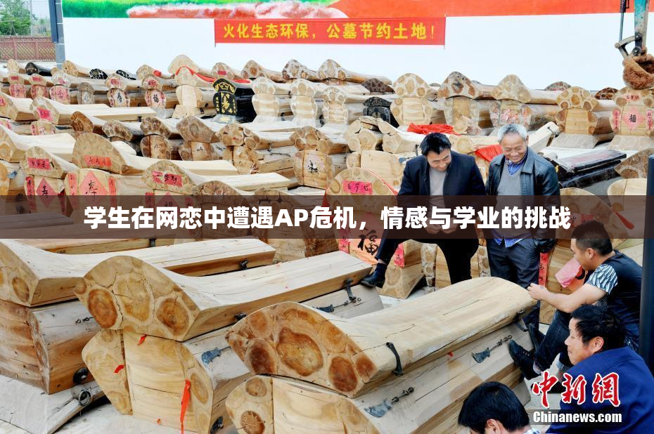 学生在网恋中遭遇AP危机，情感与学业的挑战