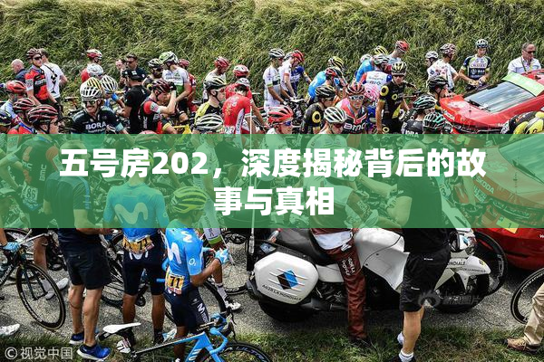 五号房202，深度揭秘背后的故事与真相