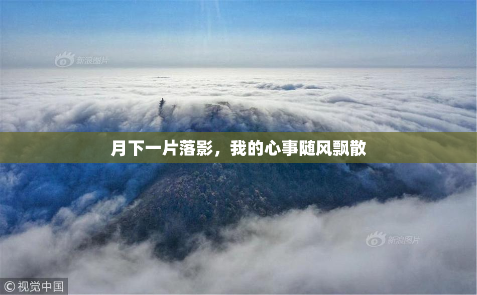 月下一片落影，我的心事随风飘散