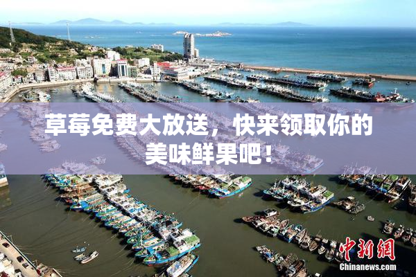 草莓免费大放送，快来领取你的美味鲜果吧！