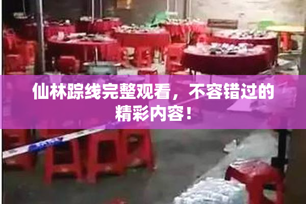 仙林踪线完整观看，不容错过的精彩内容！