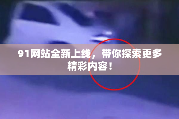 91网站全新上线，带你探索更多精彩内容！