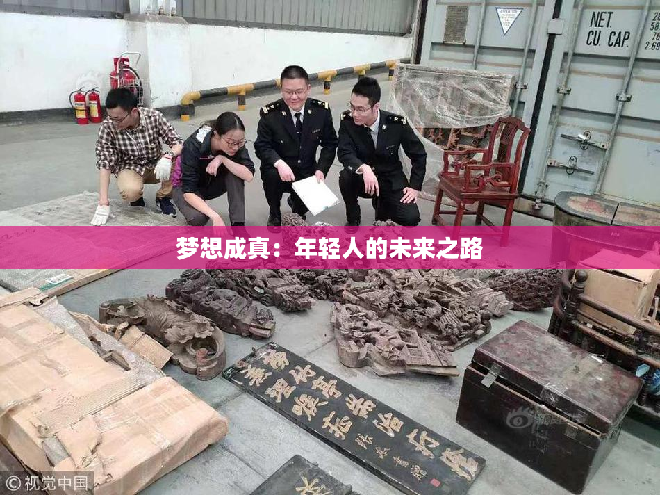 梦想成真：年轻人的未来之路