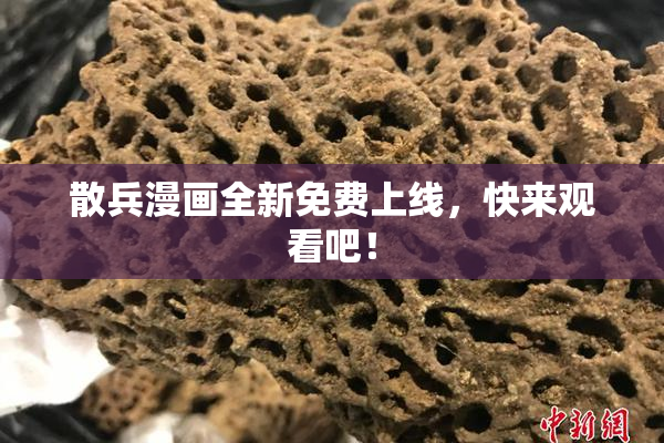 散兵漫画全新免费上线，快来观看吧！