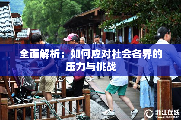 全面解析：如何应对社会各界的压力与挑战