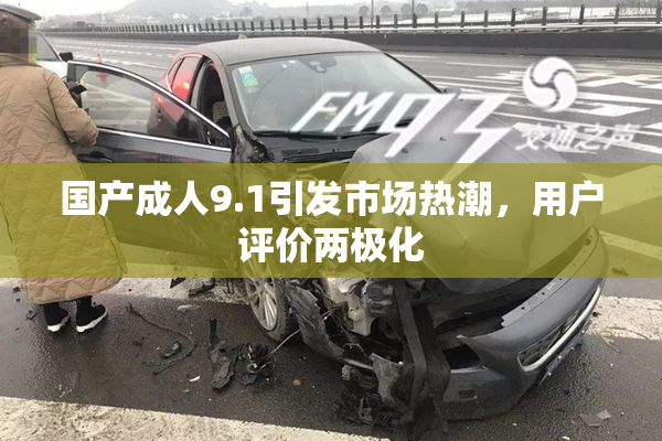 国产成人9.1引发市场热潮，用户评价两极化