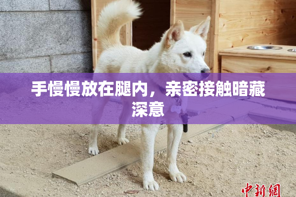 手慢慢放在腿内，亲密接触暗藏深意