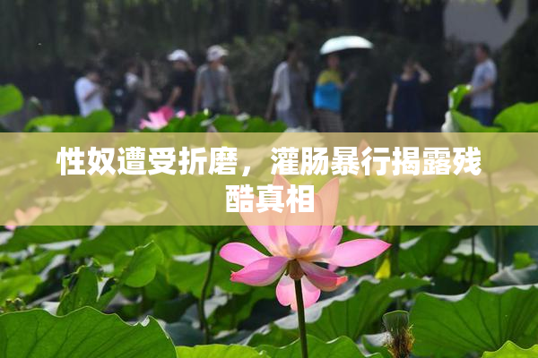 性奴遭受折磨，灌肠暴行揭露残酷真相