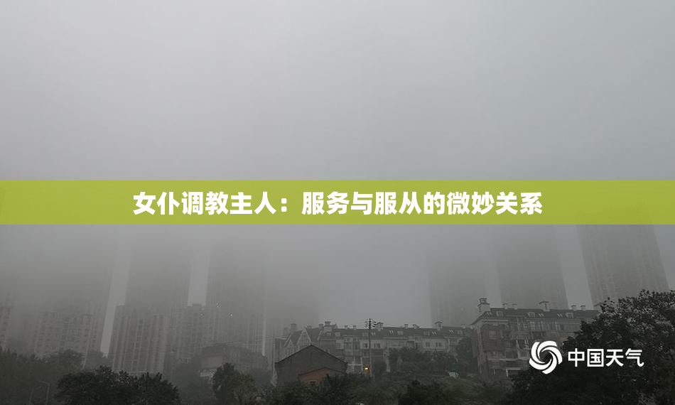 女仆调教主人：服务与服从的微妙关系