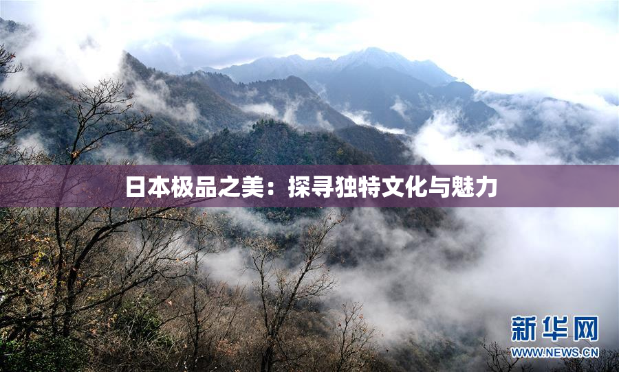 日本极品之美：探寻独特文化与魅力