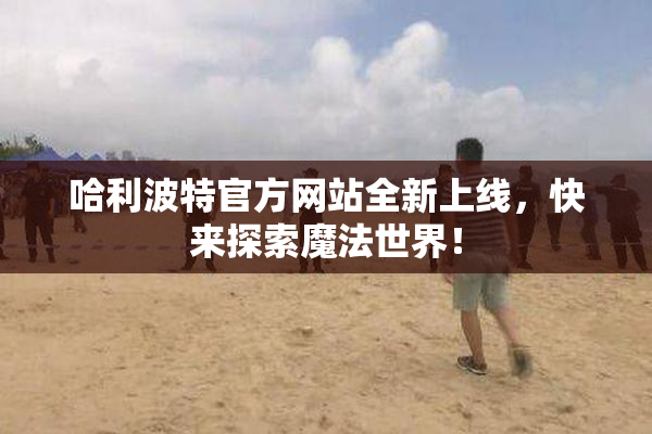 哈利波特官方网站全新上线，快来探索魔法世界！