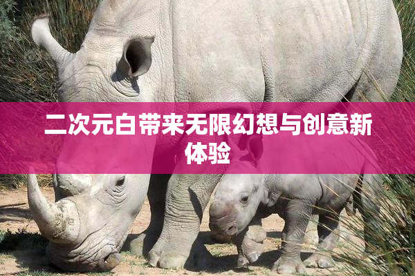 二次元白带来无限幻想与创意新体验