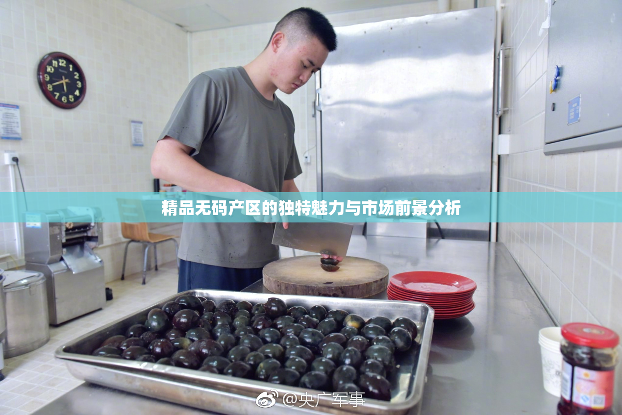 精品无码产区的独特魅力与市场前景分析