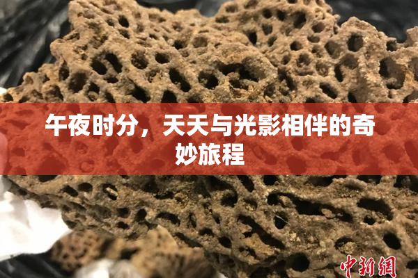 午夜时分，天天与光影相伴的奇妙旅程