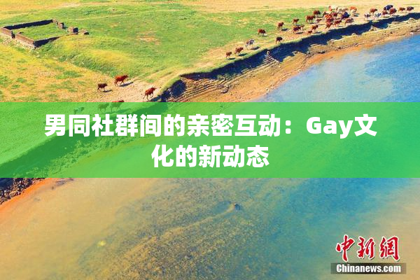 男同社群间的亲密互动：Gay文化的新动态