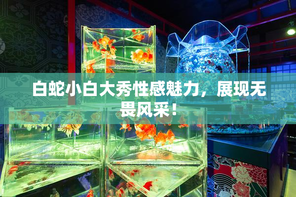 白蛇小白大秀性感魅力，展现无畏风采！