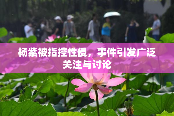 杨紫被指控性侵，事件引发广泛关注与讨论