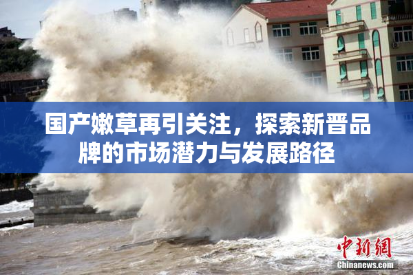 国产嫩草再引关注，探索新晋品牌的市场潜力与发展路径