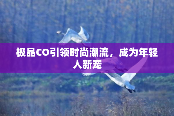 极品CO引领时尚潮流，成为年轻人新宠